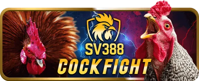 Chương trình hoàn trả Hubet88